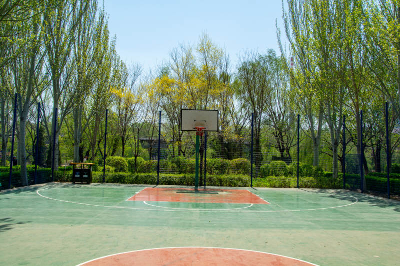 绿树环绕的篮球场图片