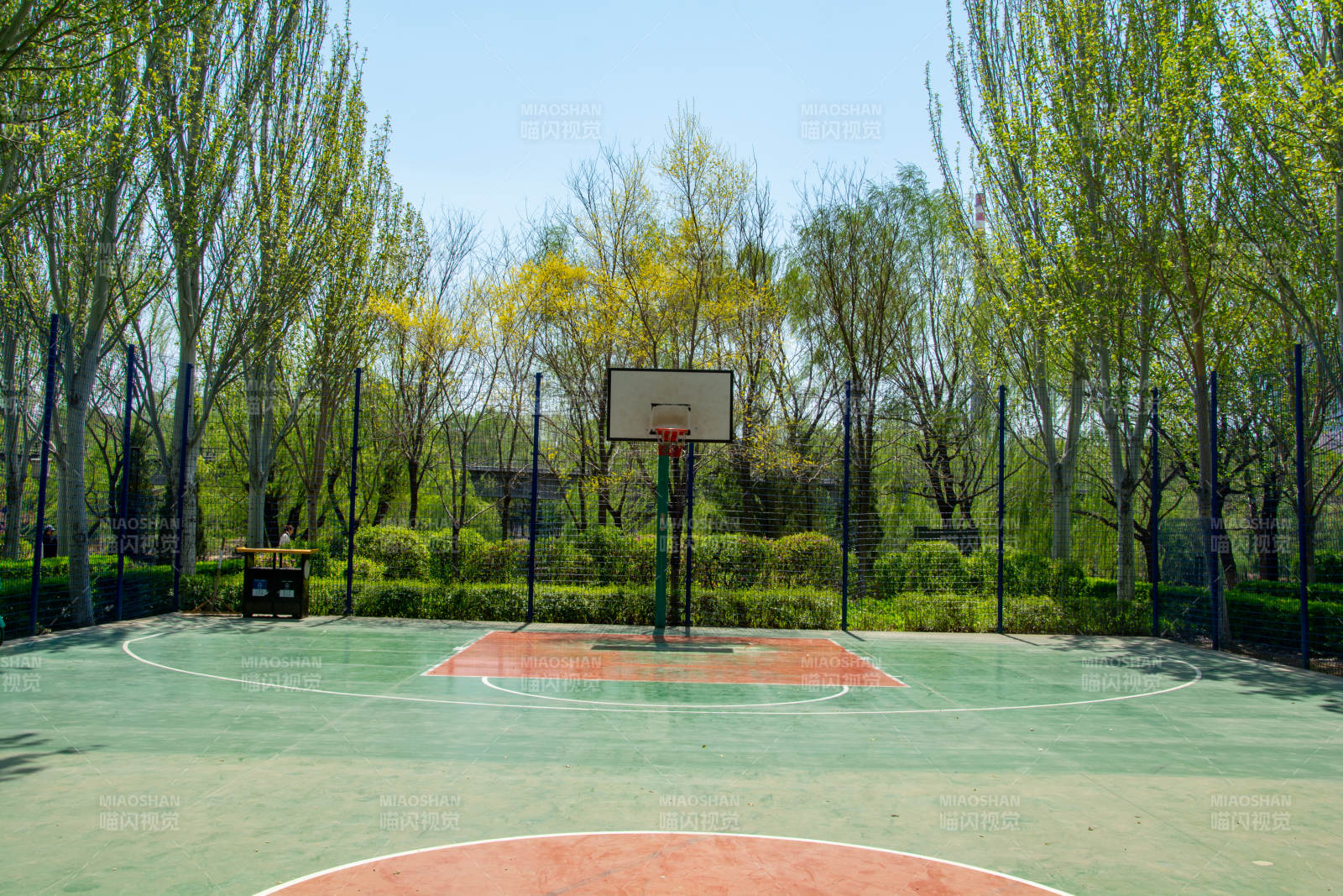 绿树环绕的篮球场图片