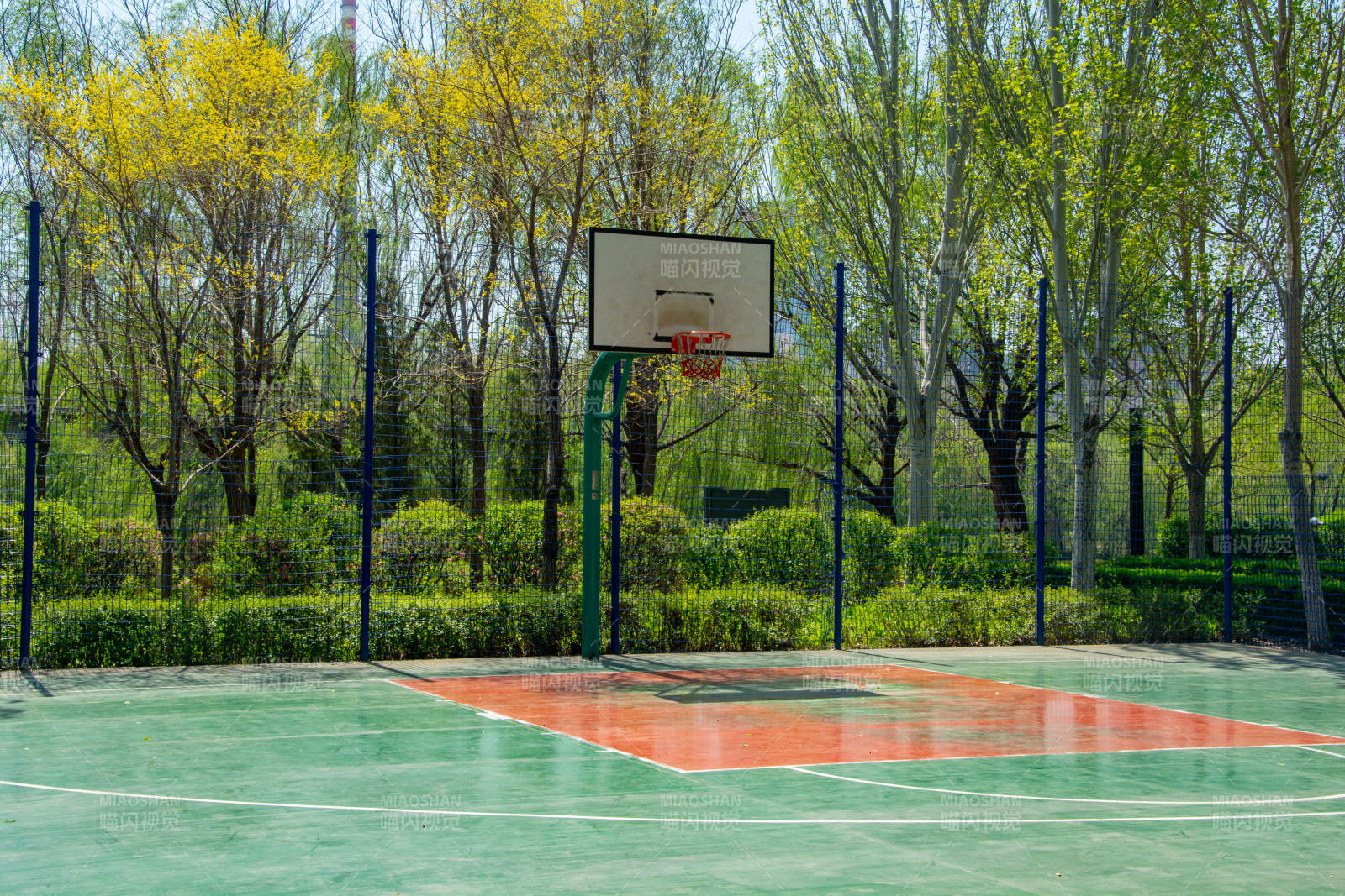 绿茵篮球场图片