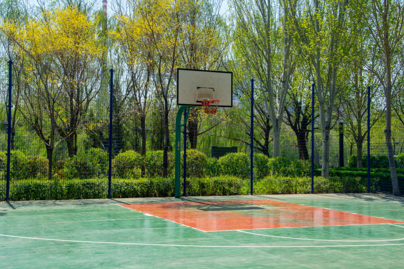 绿茵篮球场图片
