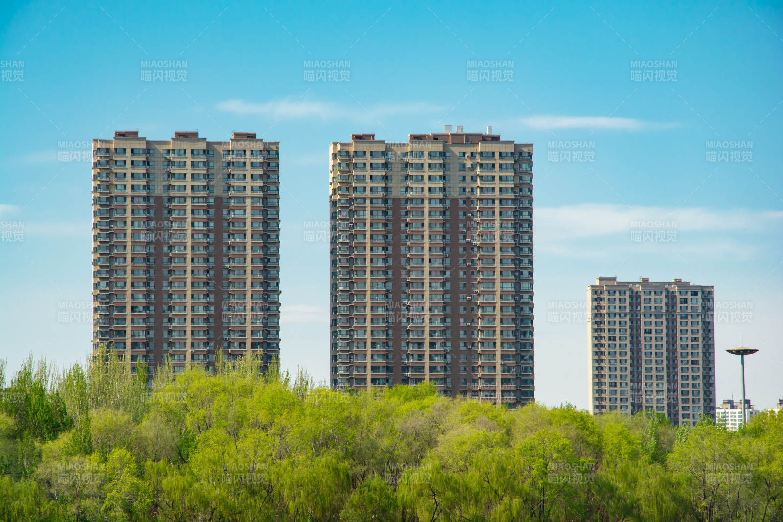 高楼林立绿树环绕图片