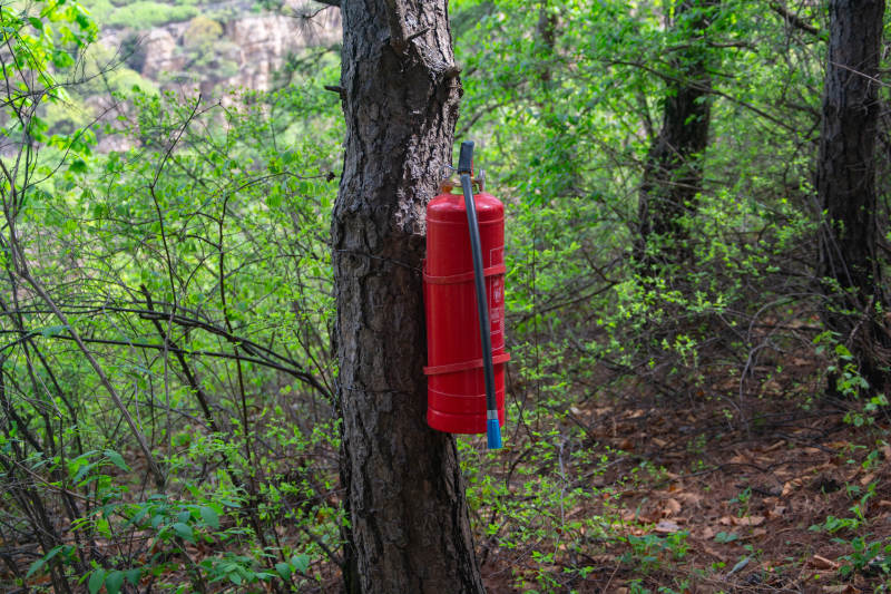 林间红色水桶图片