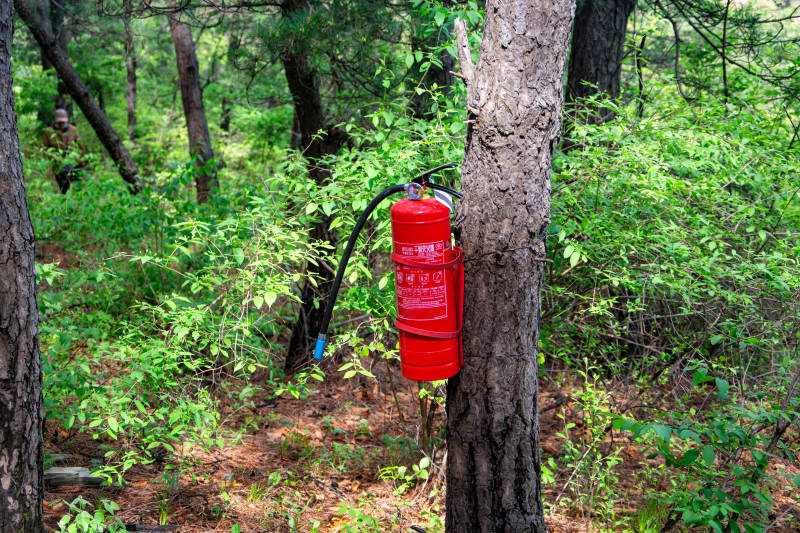 森林中的红色灭火器图片