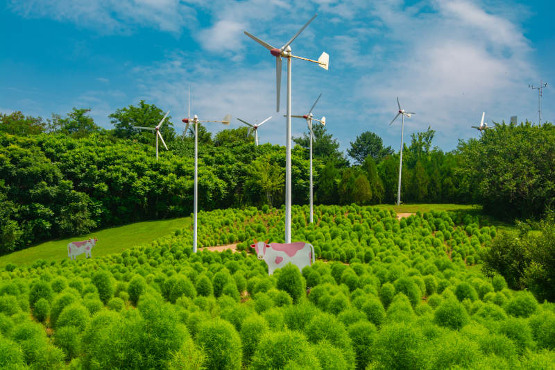 风车绿野田园风光图片