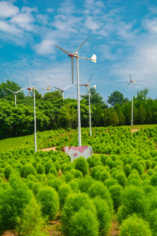 风车绿野牛雕塑图片