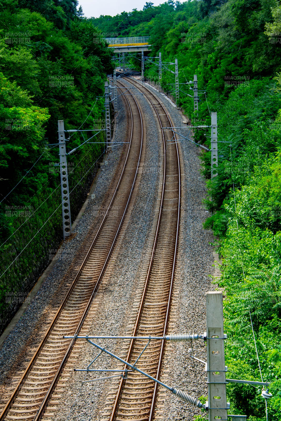 绿林中的铁轨延伸图片