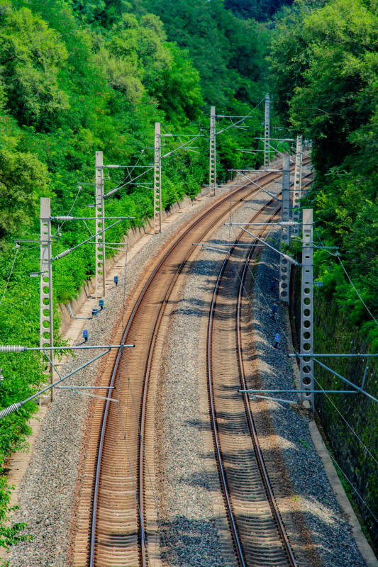 绿野铁轨蜿蜒前行图片