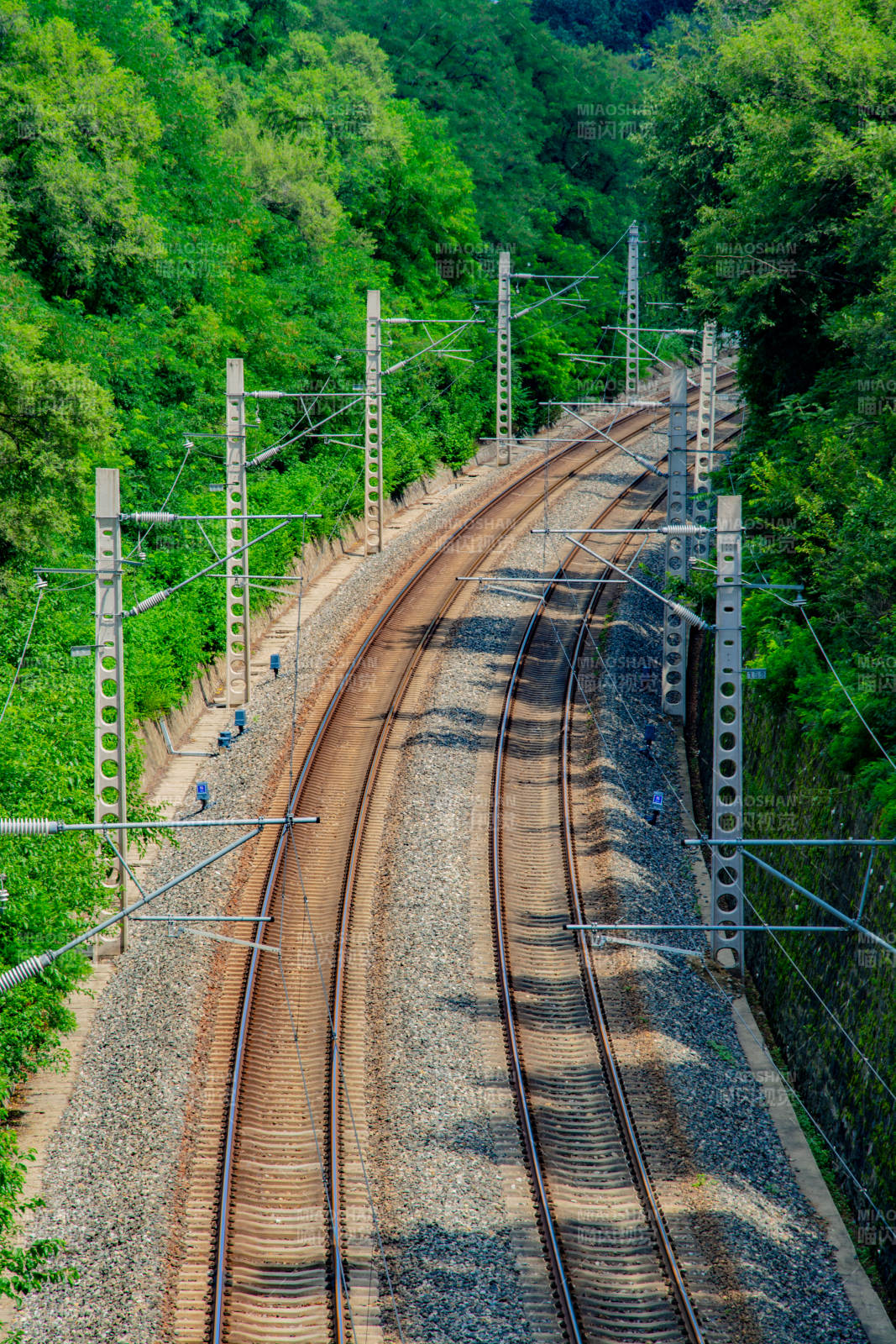 绿野铁轨蜿蜒前行图片
