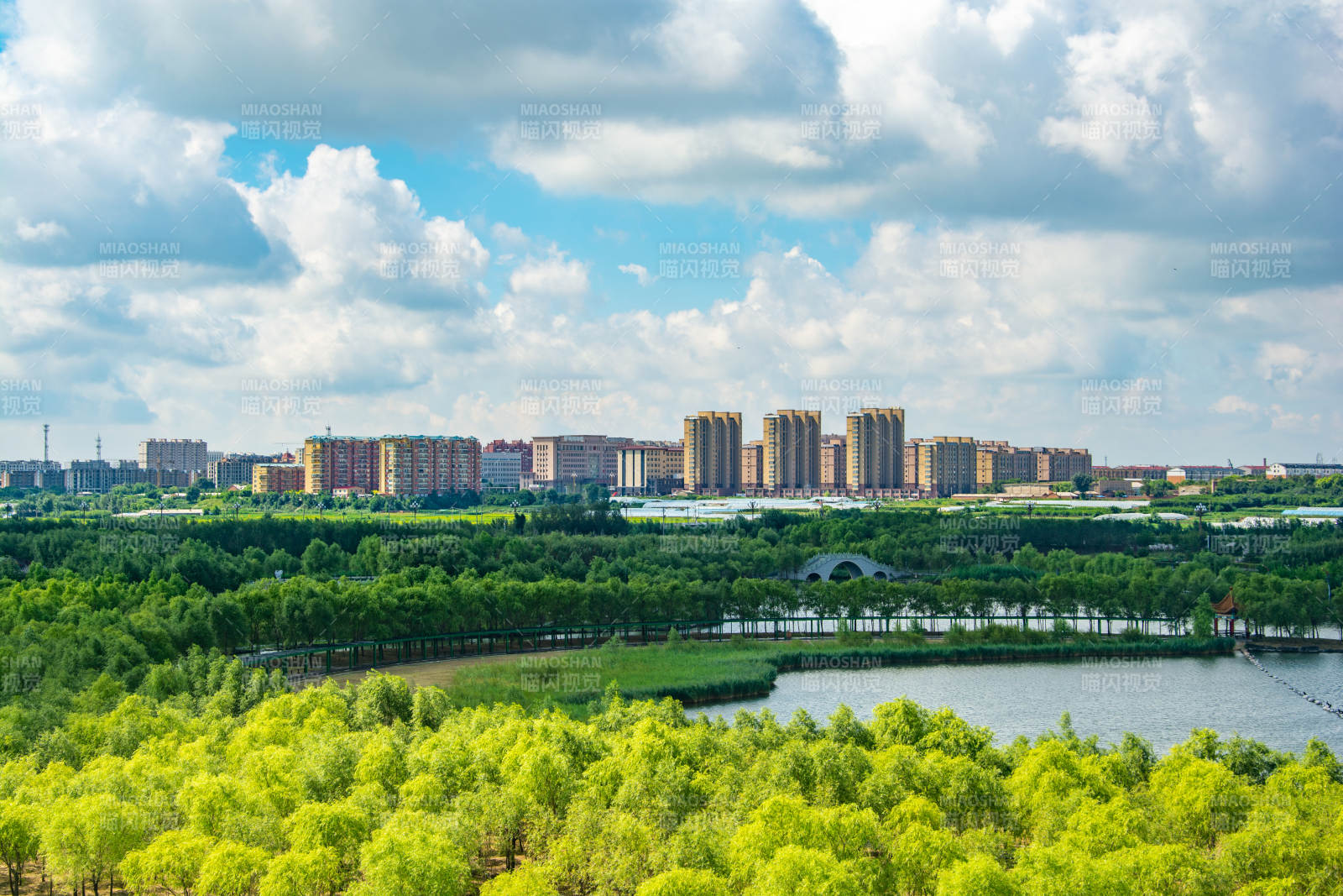 城市绿洲风光图片