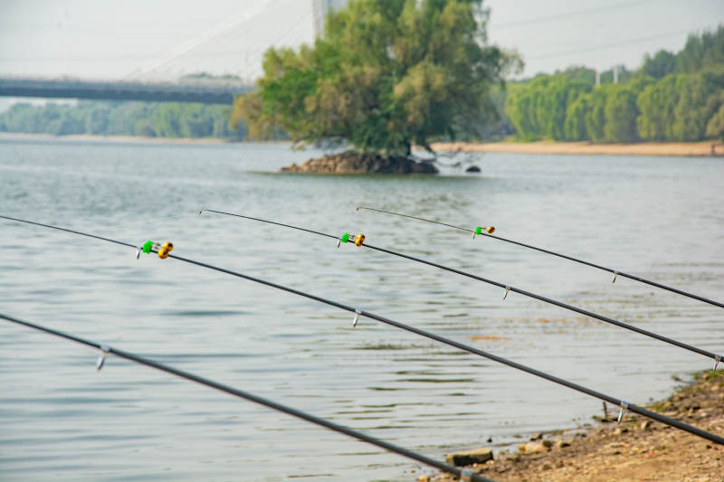 湖畔垂钓静景图片