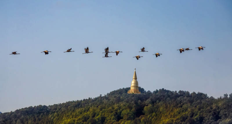 雁阵飞过塔山图片