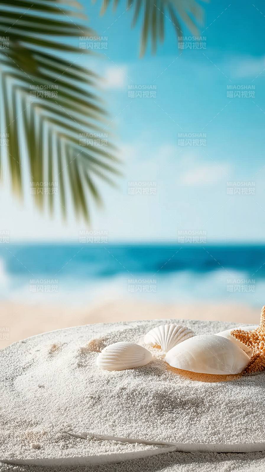 沙滩贝壳与海景图片