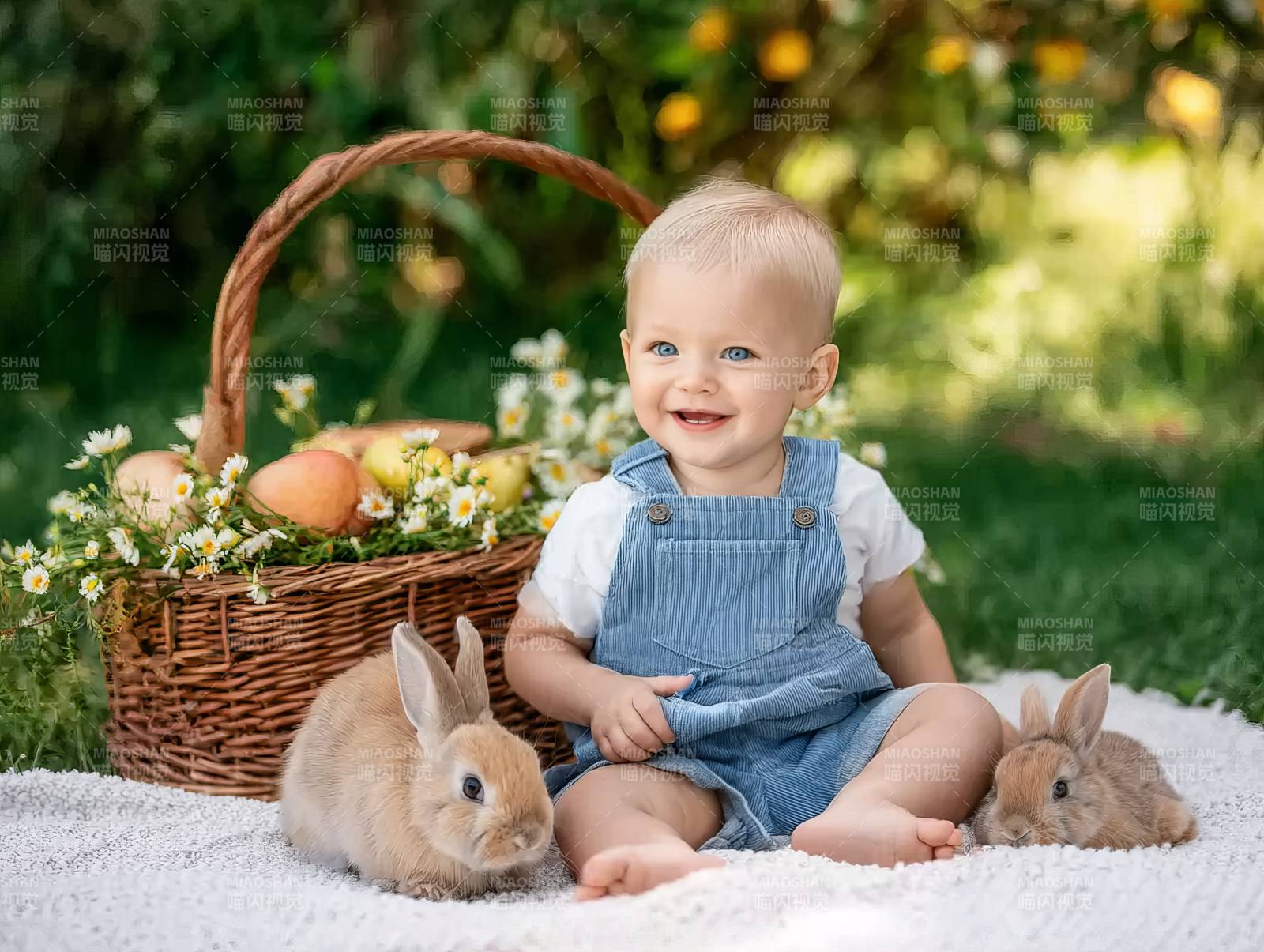 宝宝与兔共度春日图片