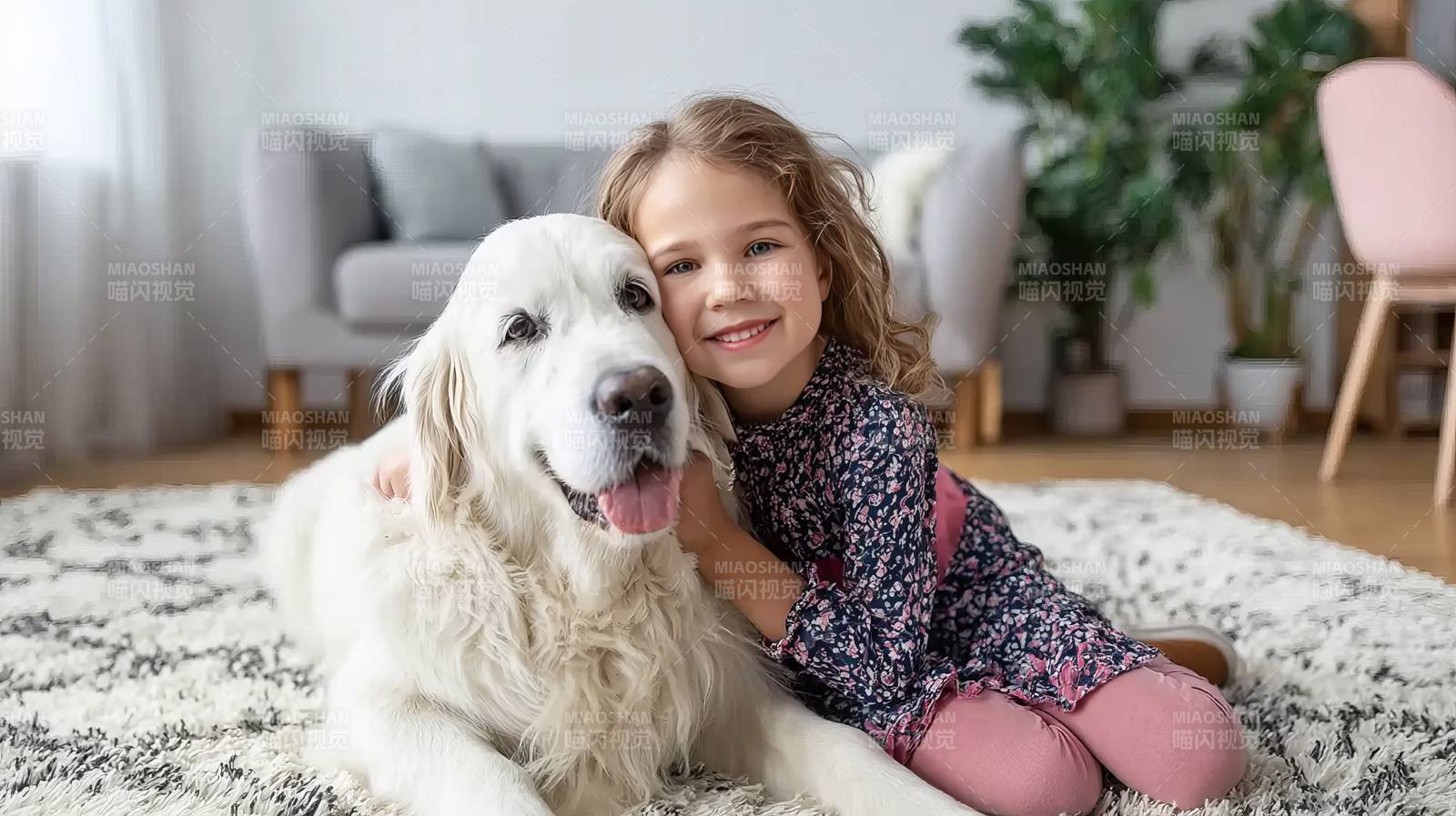 小女孩与金毛犬温馨相伴图片