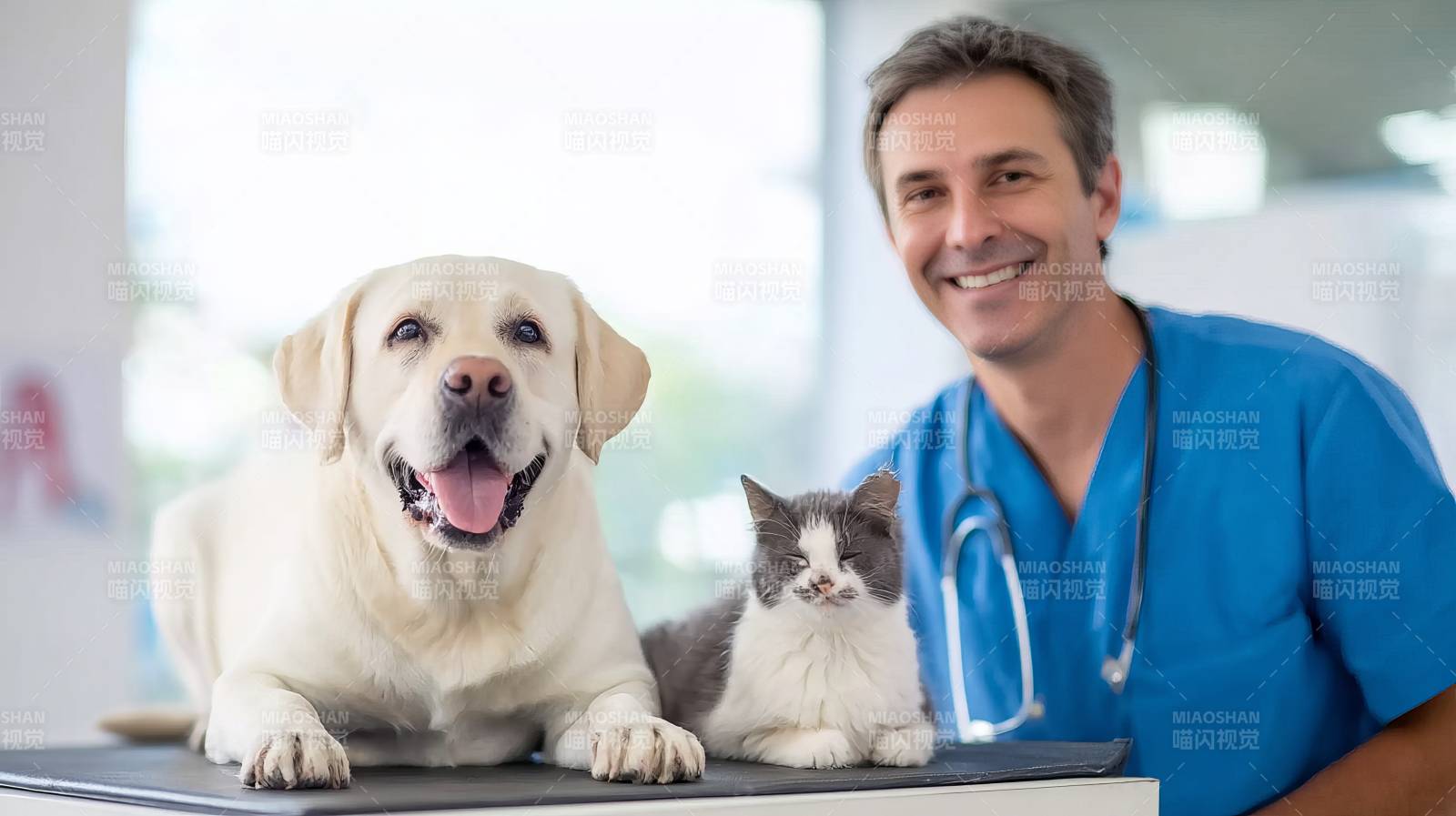 宠物医生与萌宠合影图片
