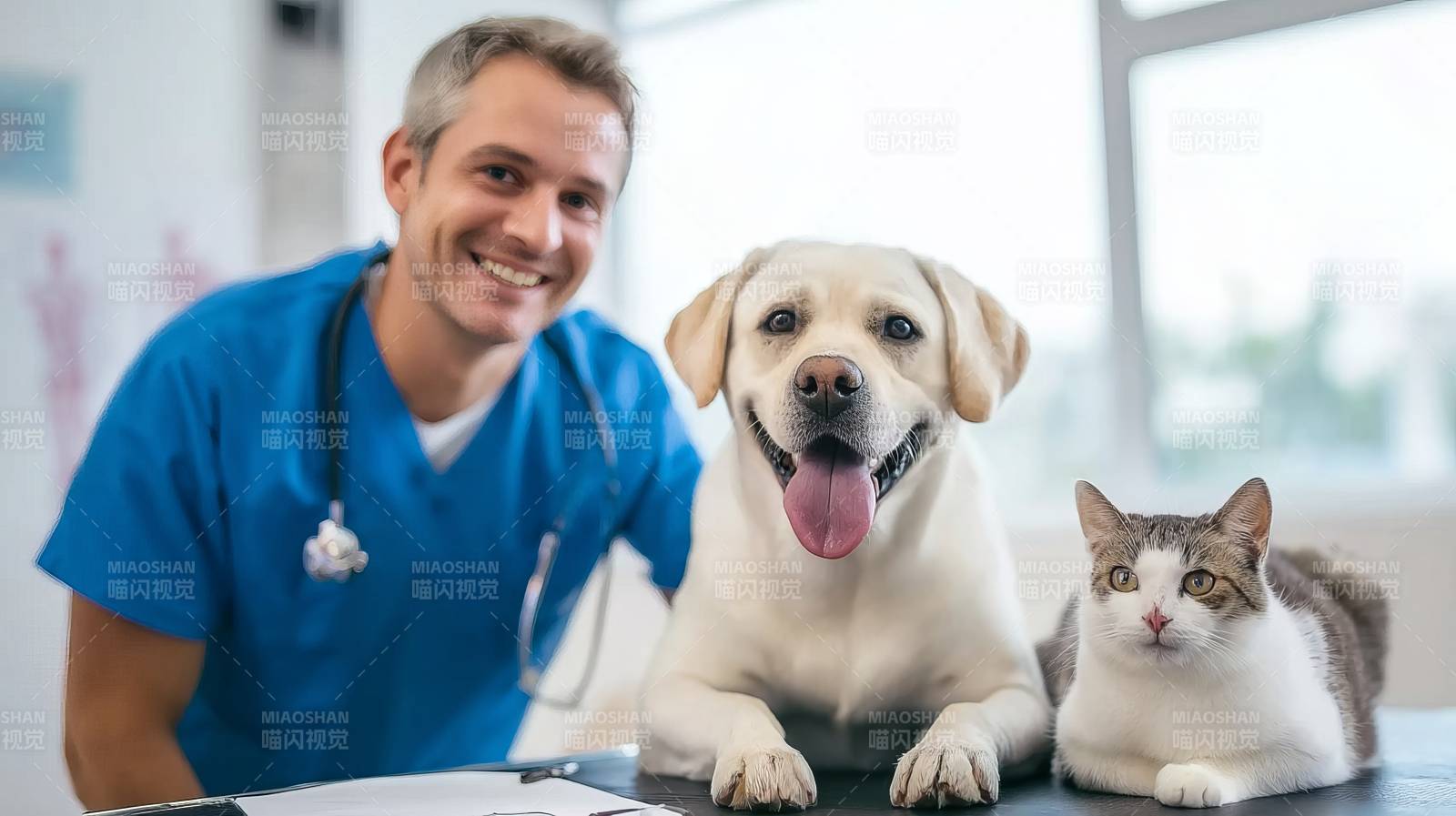 宠物医生与萌宠合影图片