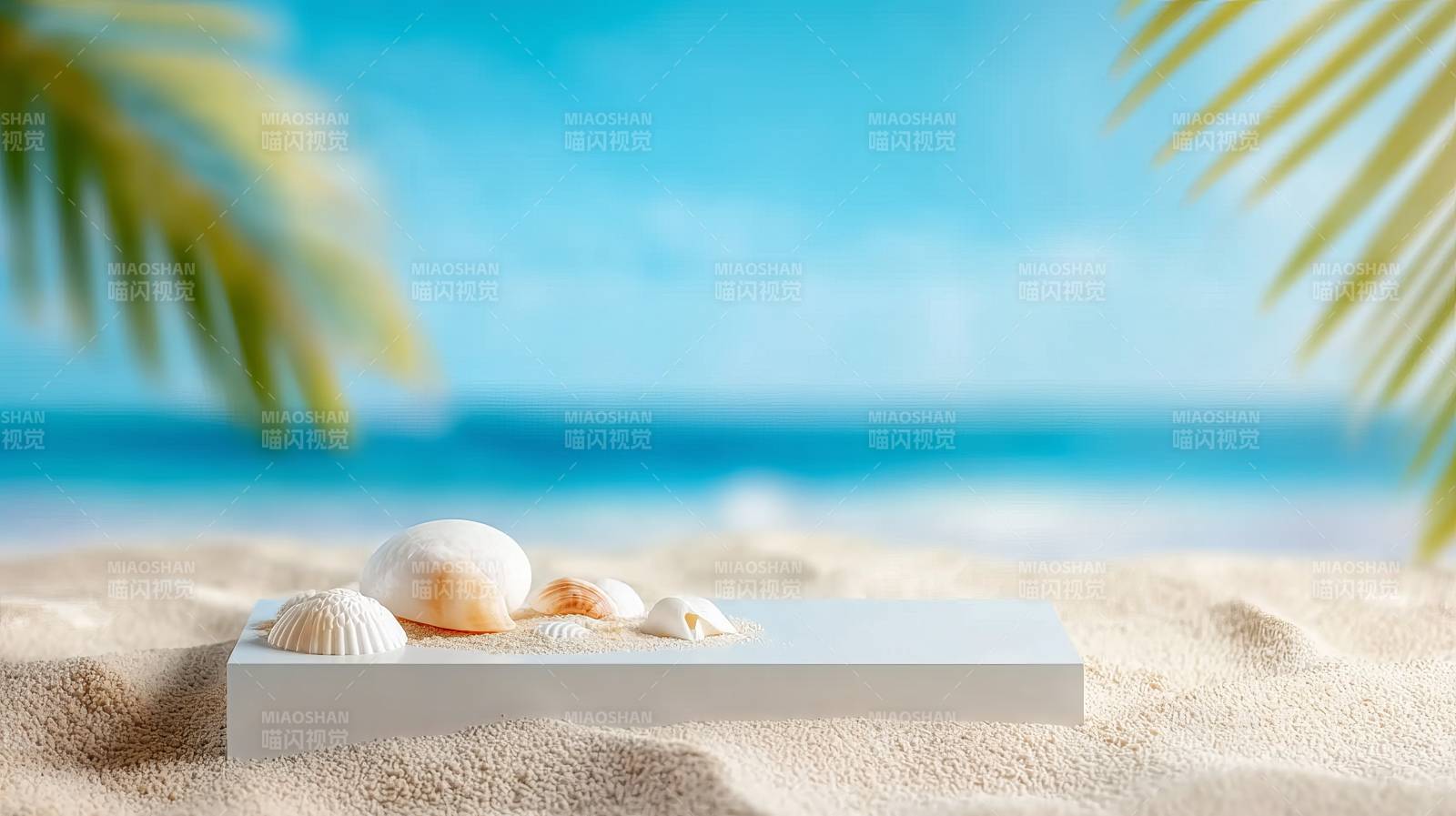 沙滩上的贝壳与海景图片