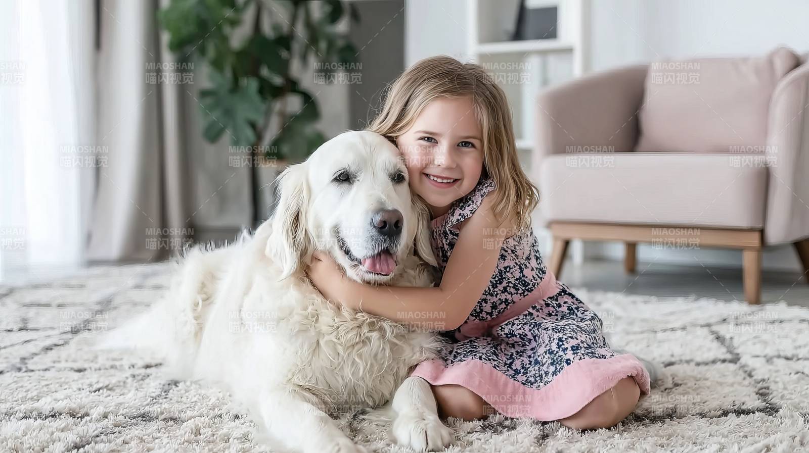 小女孩与金毛犬温馨相伴图片