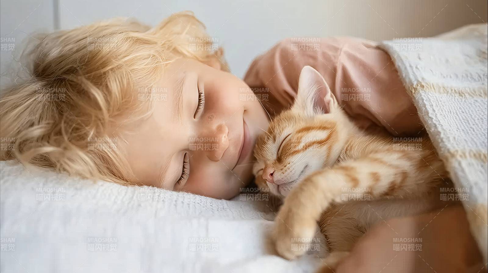 童猫共眠 温馨一刻图片