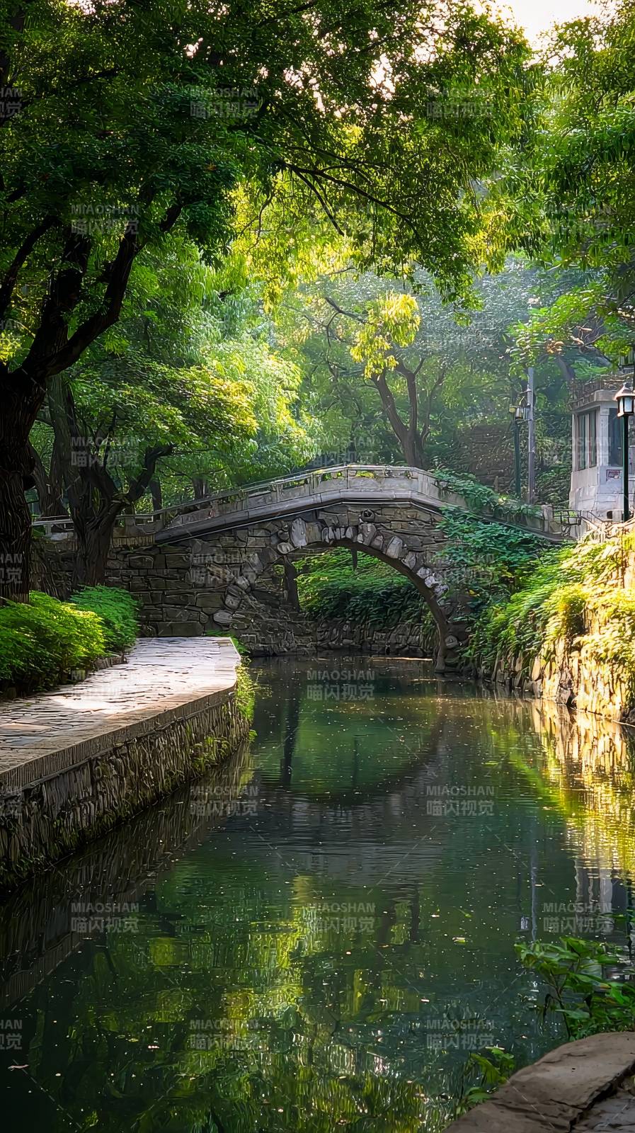 绿荫石桥映水清图片