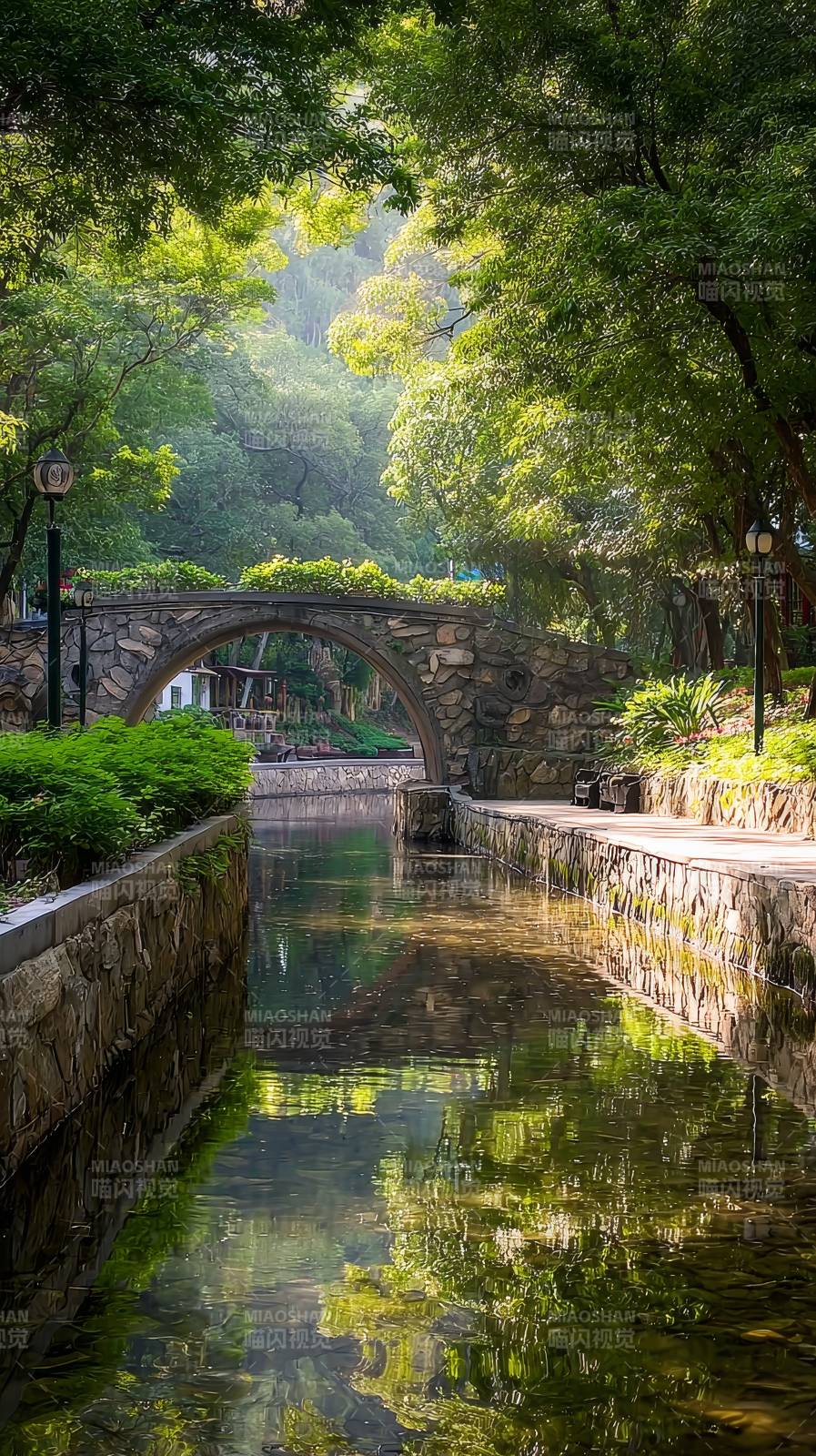 绿荫石桥映水清图片
