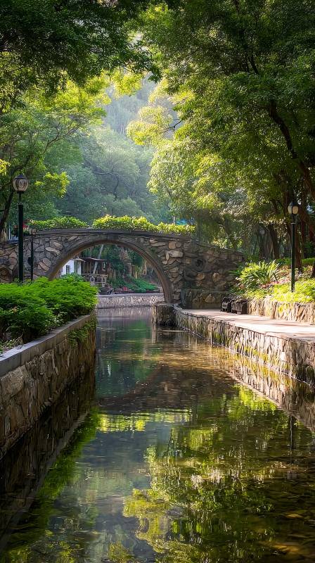 绿荫石桥映水清图片