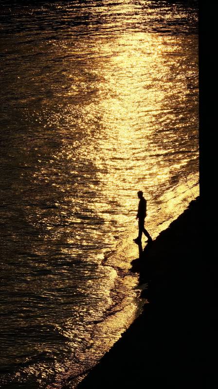 夕阳下的独行者图片