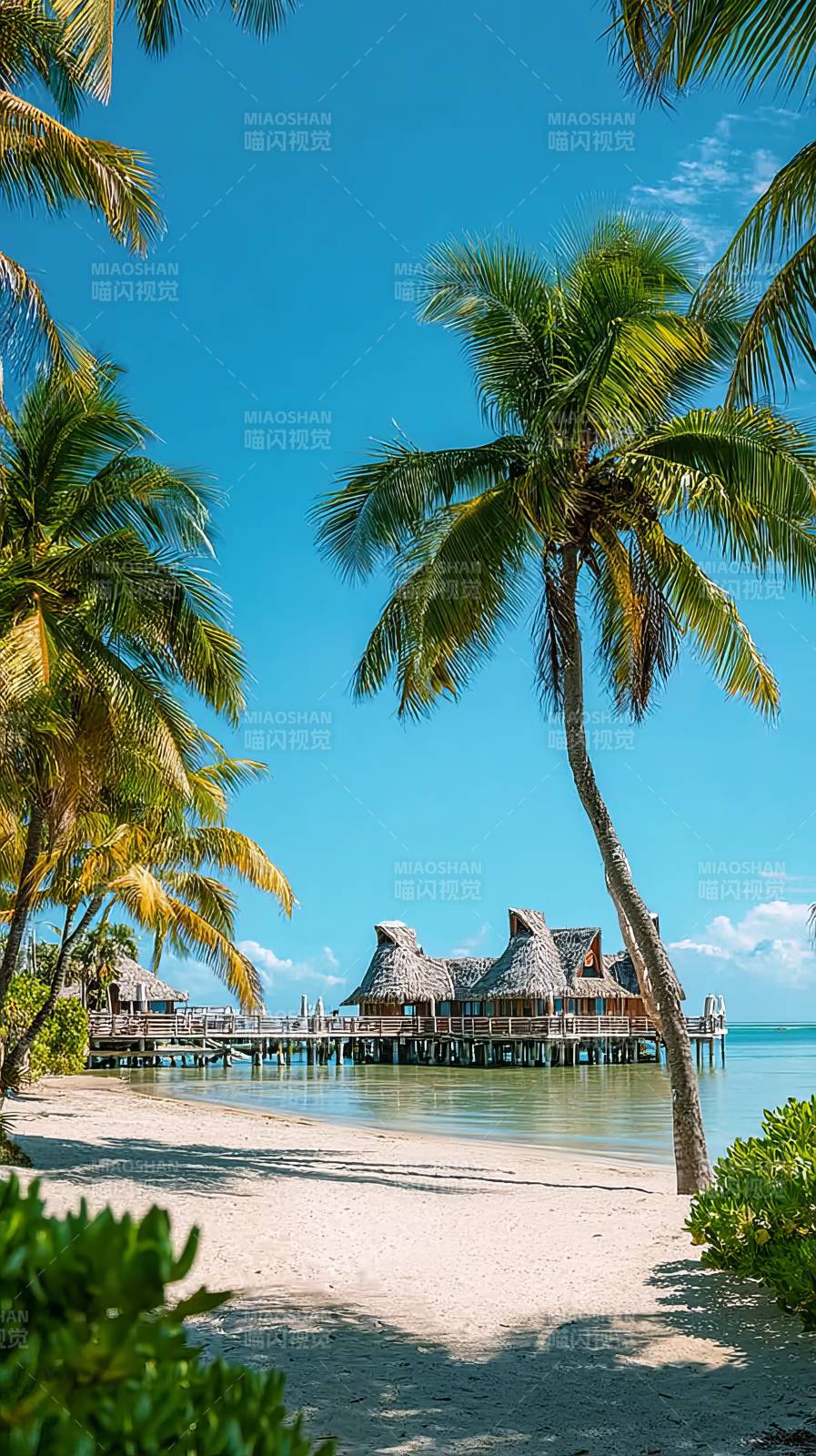 椰林碧海度假屋图片
