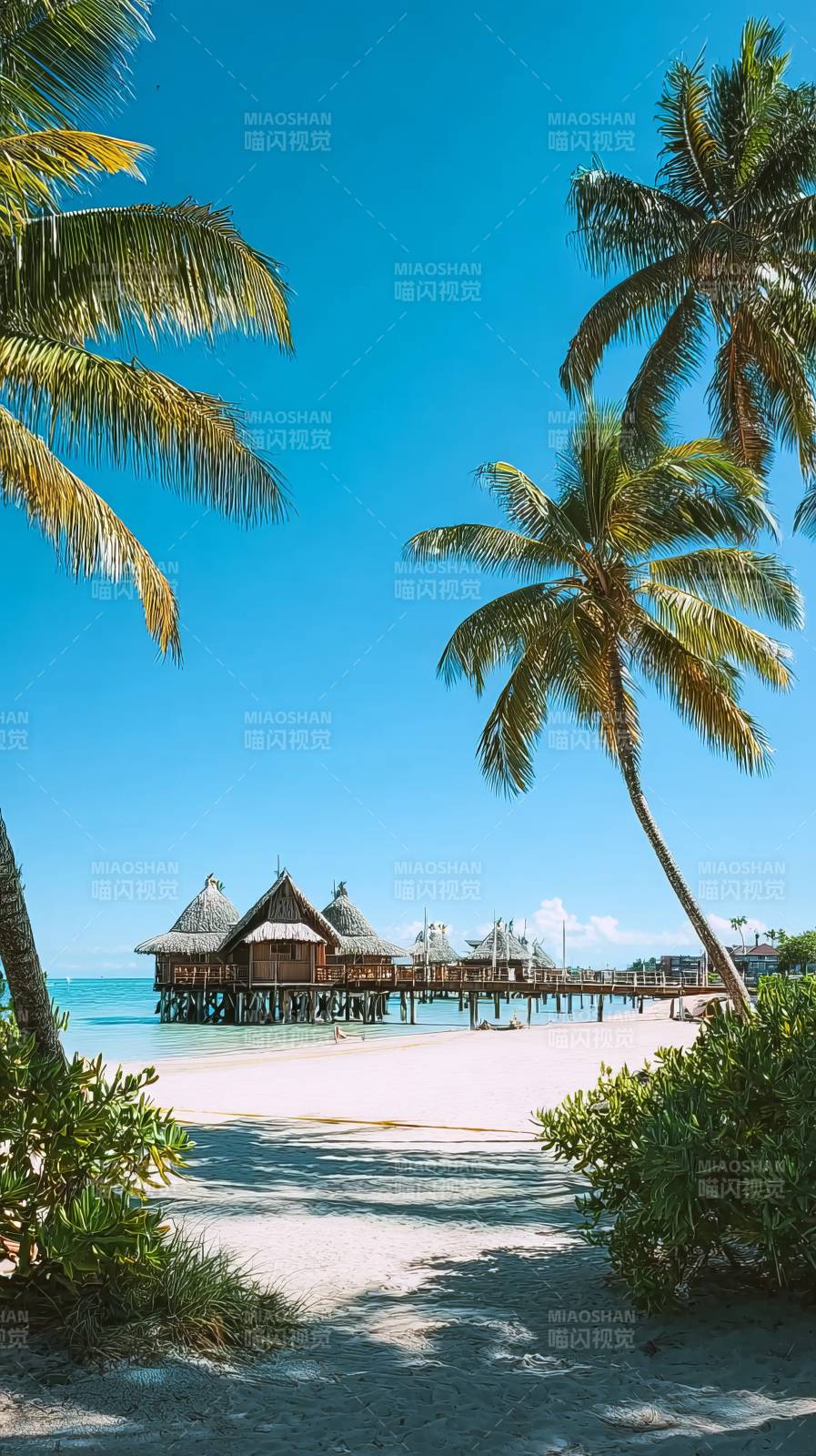 热带海滩风光图片