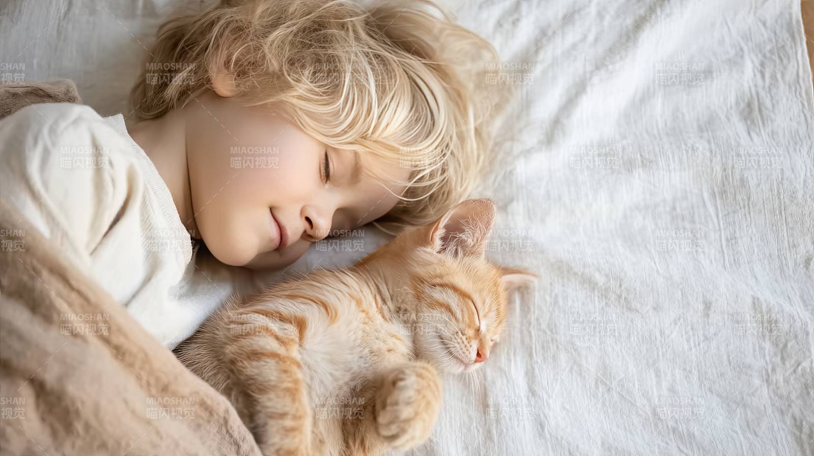 童猫共眠 温馨一刻图片