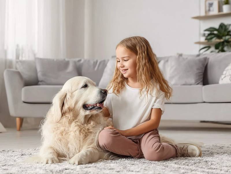 女孩与金毛犬共度时光图片