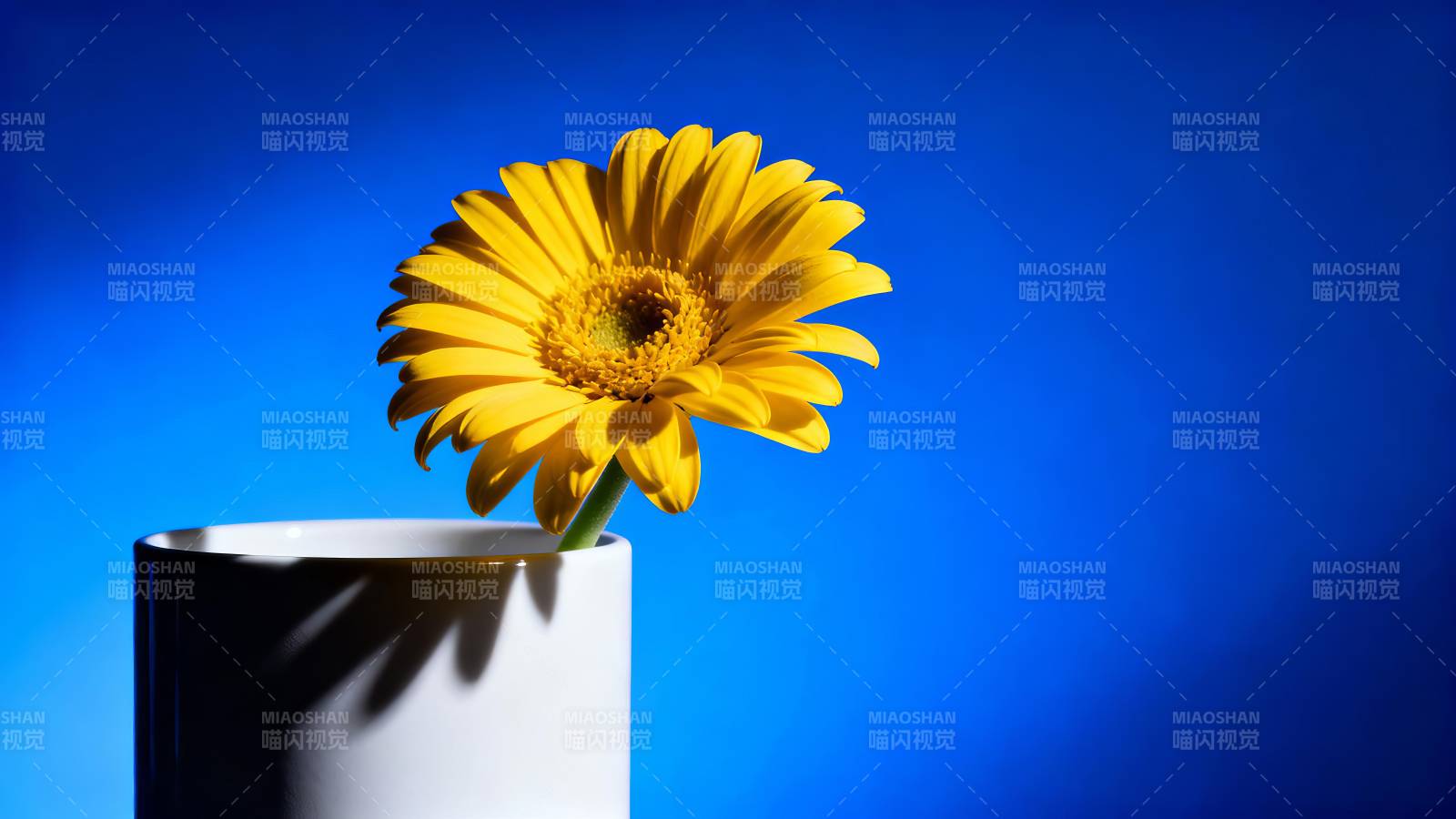 黄花映蓝背景图片