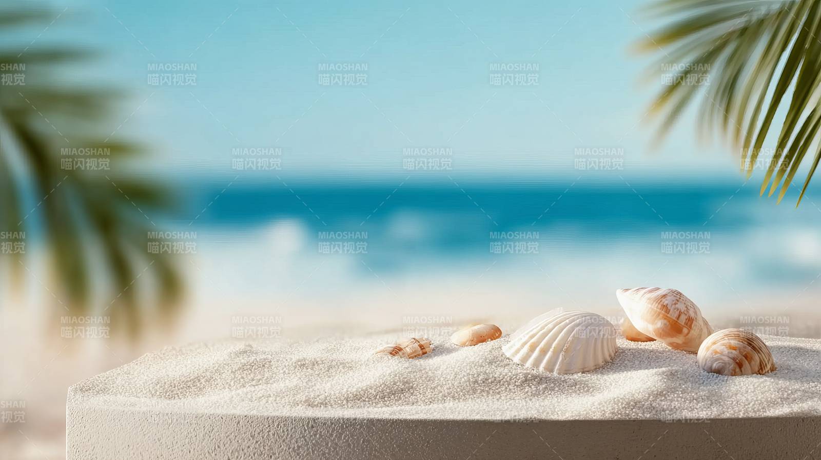 沙滩贝壳与海景图片