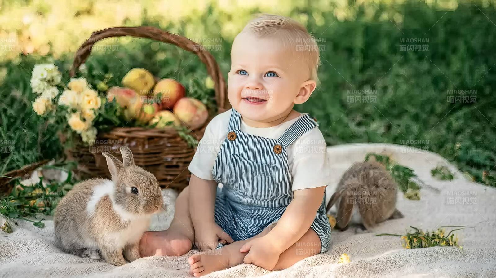 宝宝与兔共度春日图片