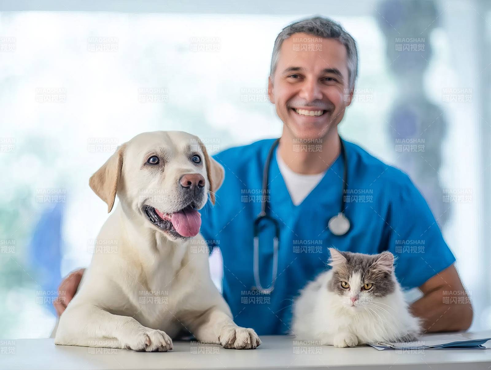 宠物医生与爱宠图片