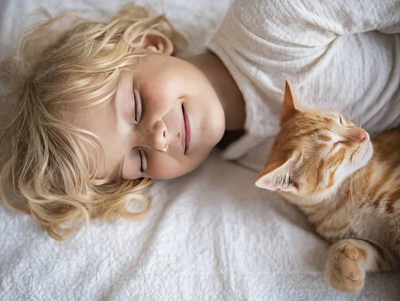 童猫共眠 温馨一刻图片