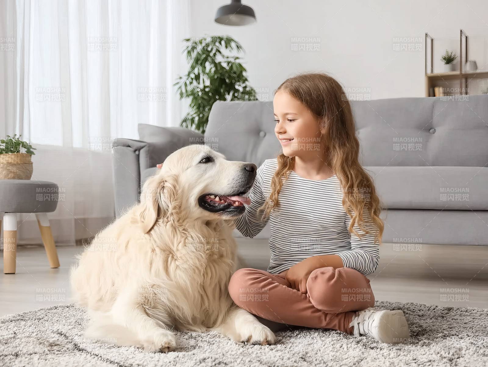 女孩与金毛犬共处图片