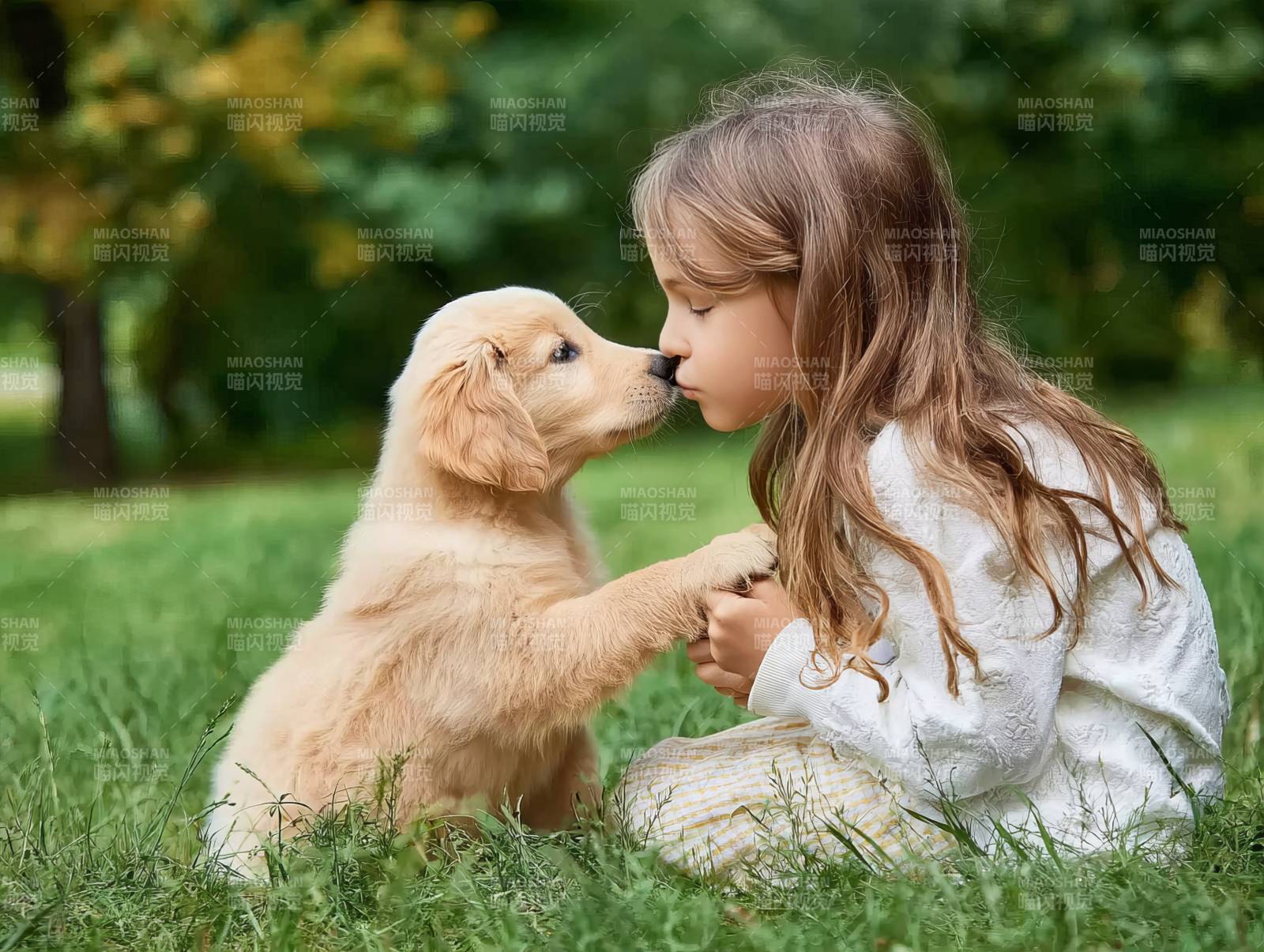 小女孩与金毛幼犬亲吻图片