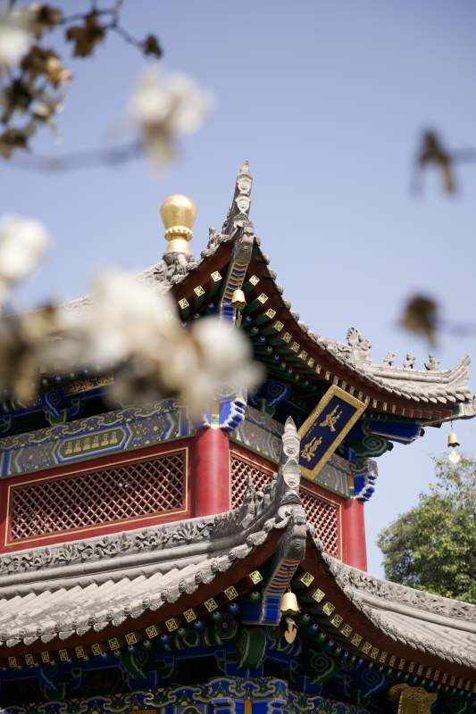 古建筑春景图片