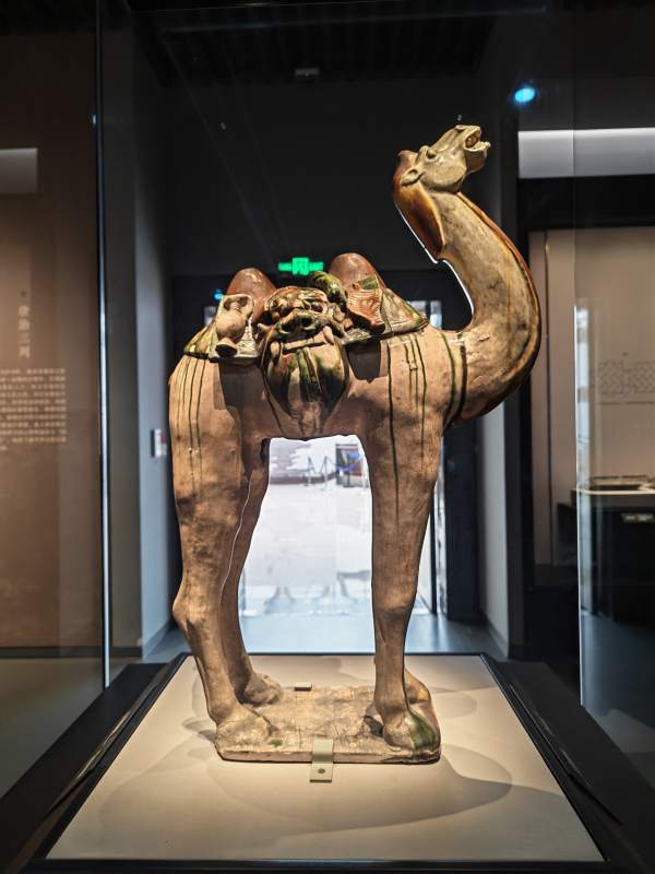 唐三彩骆驼俑图片