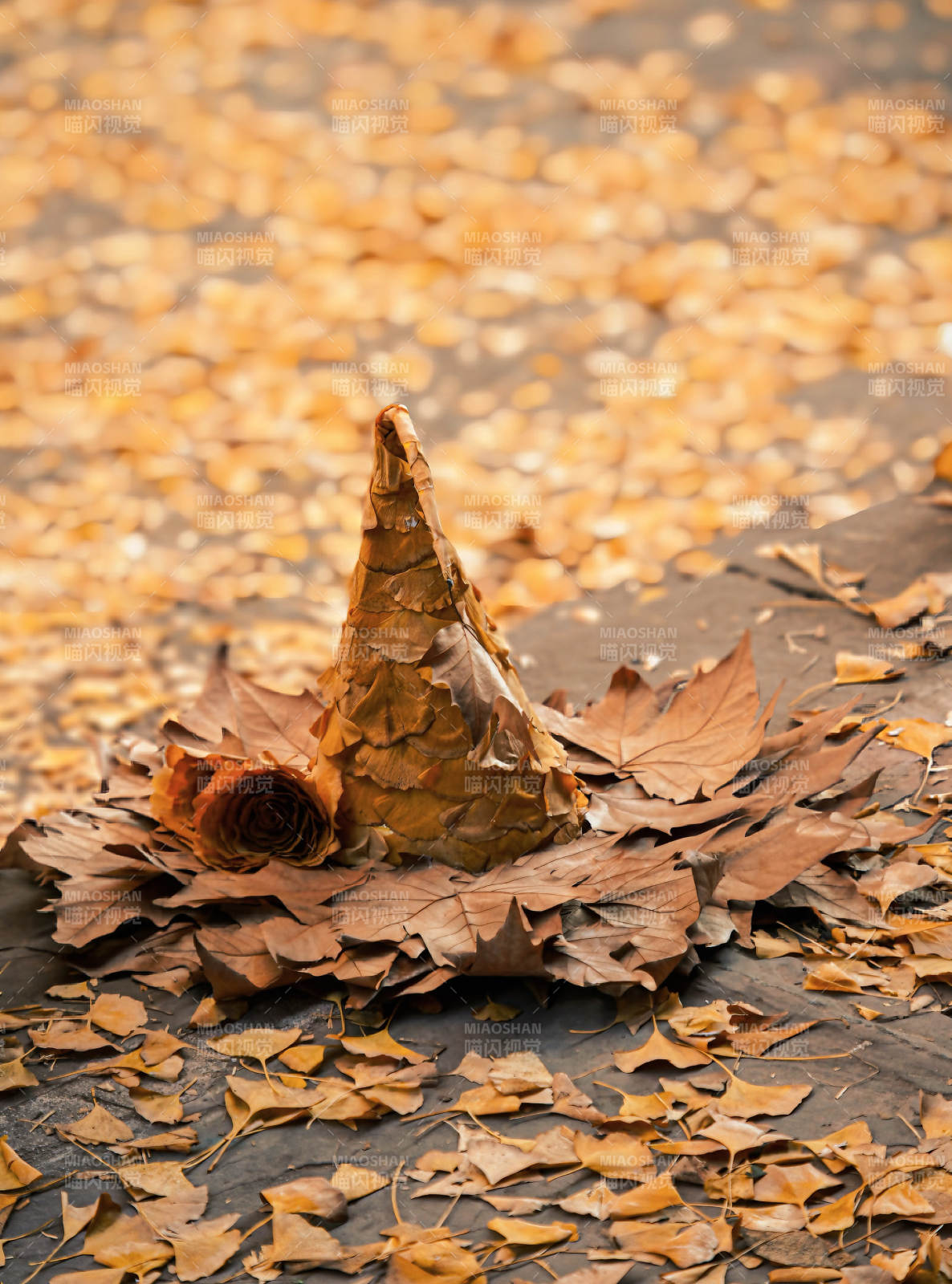 秋叶堆成的小帽图片