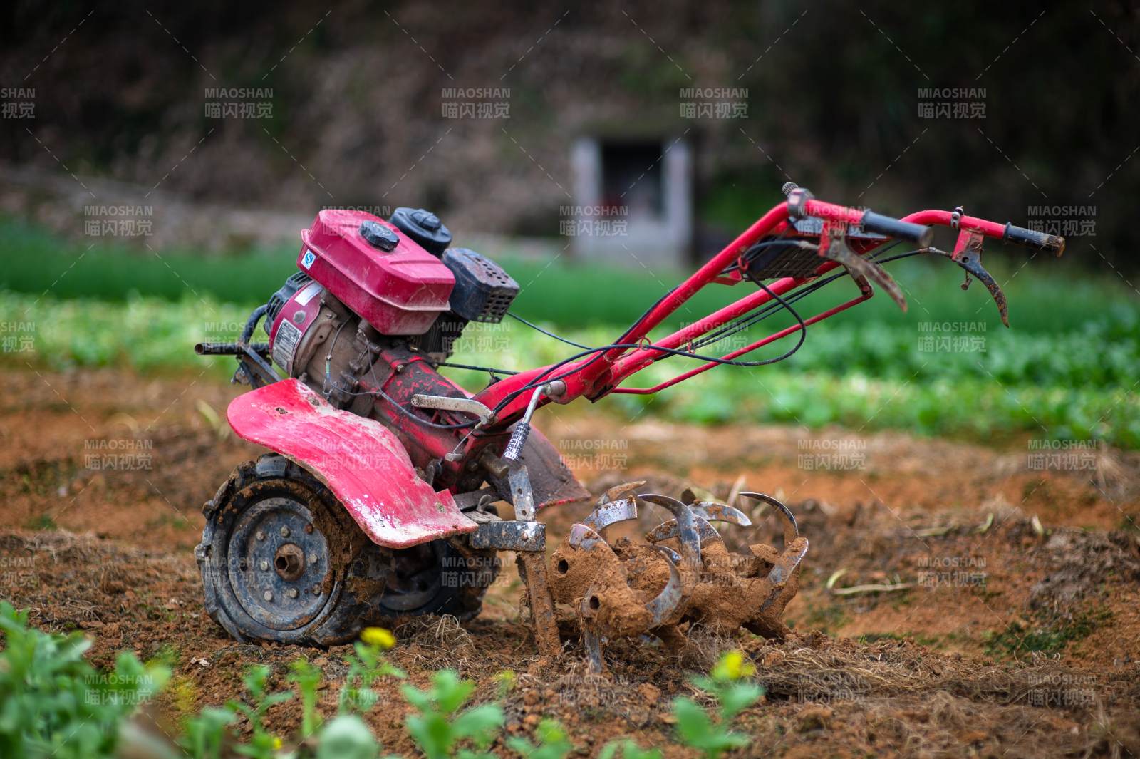 红色耕作机在田间作业图片