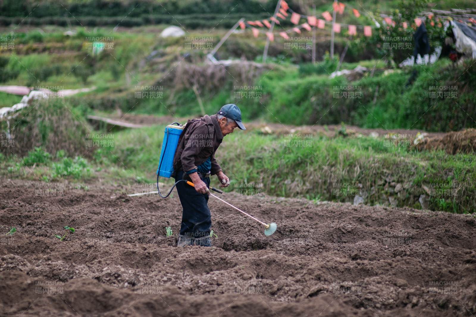 农夫田间劳作图片