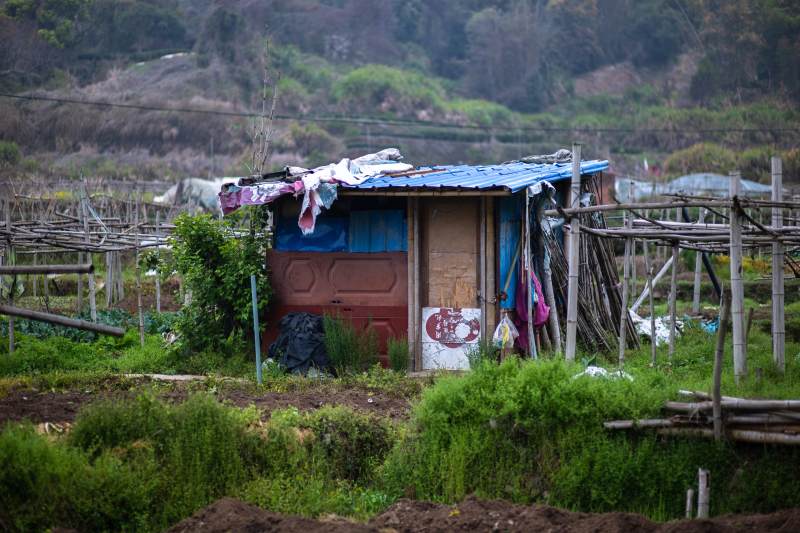 田园小屋静谧景图片