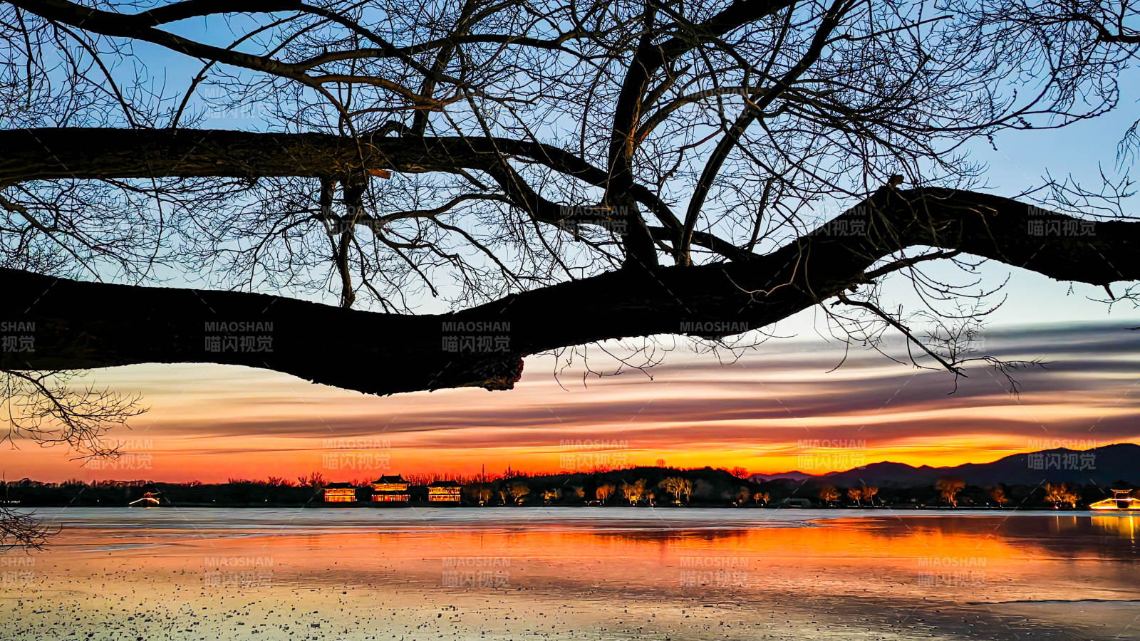 湖畔夕照树影图片