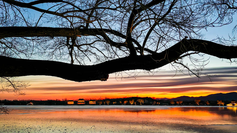 湖畔夕照树影图片