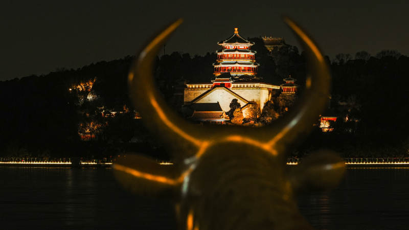 夜景古塔与鹿角图片