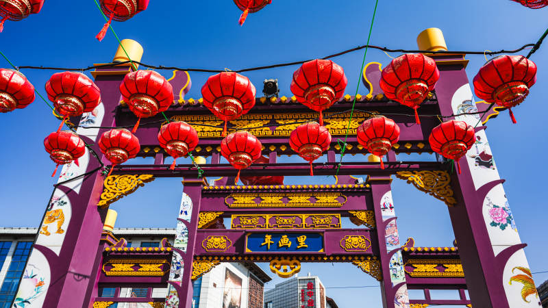 新春灯会盛景图片