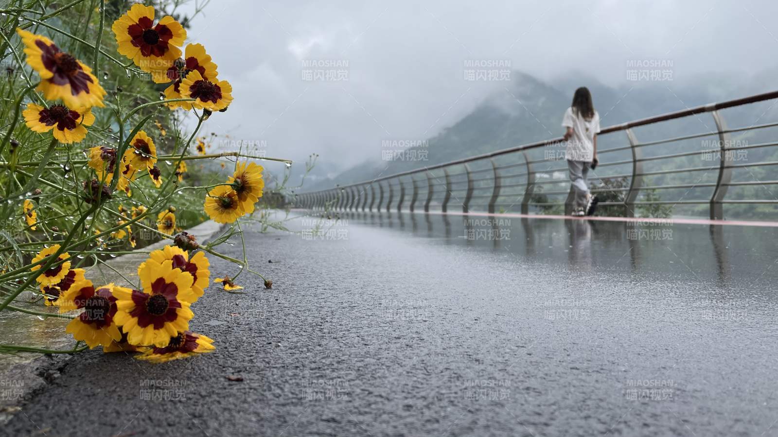 雨中花桥行图片