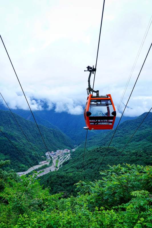 缆车穿梭青山间图片